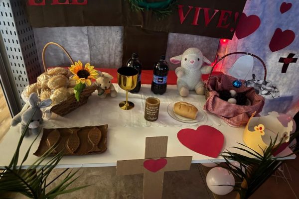 WhatsApp Image 2025-04-29 at 17.48.46 (2)