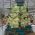 WhatsApp Image 2025-09-04 at 16.01.38
