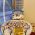 WhatsApp Image 2026-08-13 at 11.54.53