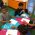 WhatsApp Image 2025-09-09 at 09.31.40
