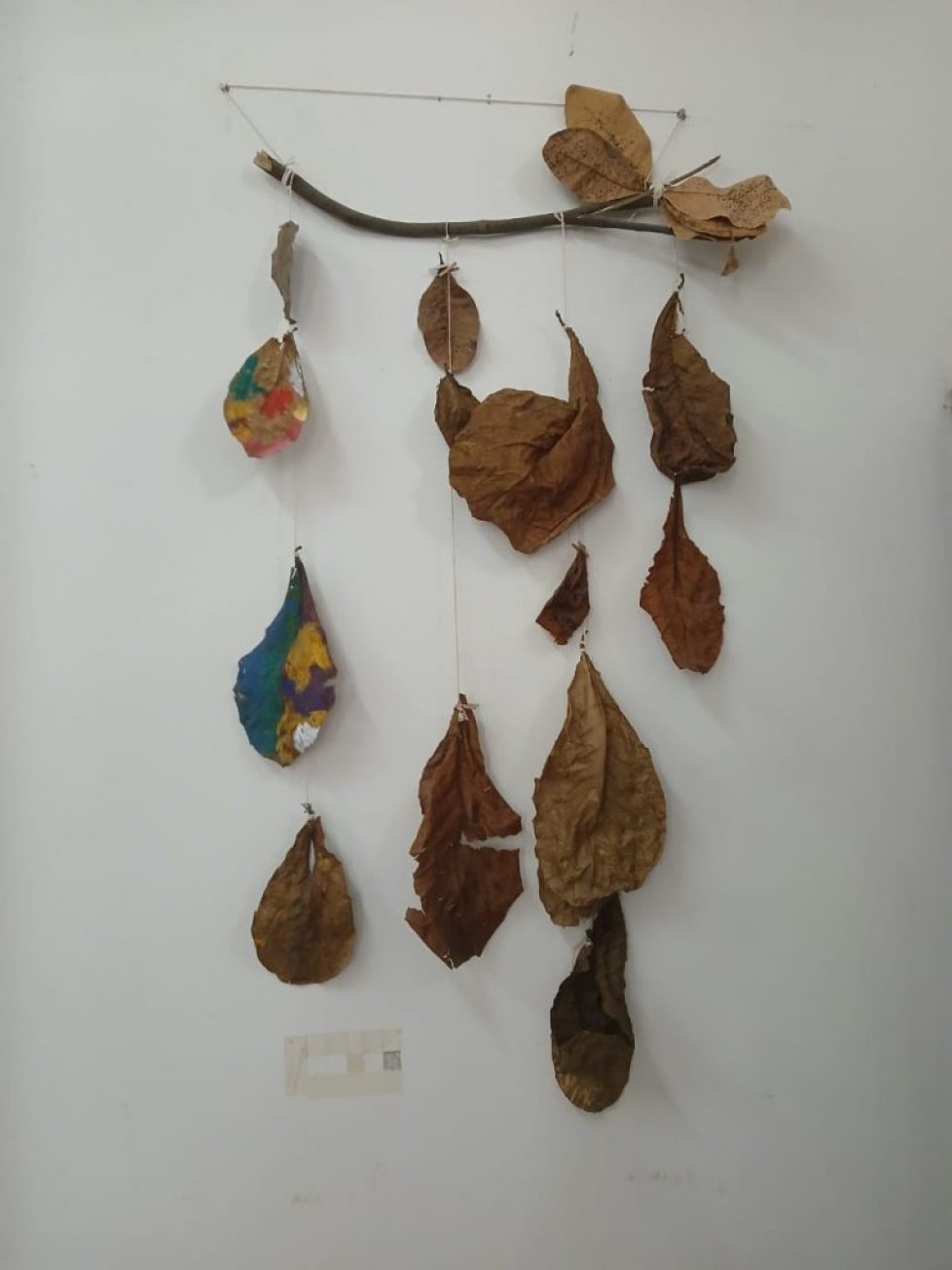 Exposição “Folhas em Movimento” Exposição “Folhas em Movimento”
